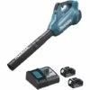Souffleur MAKITA 2 X 18V Li-Ion 3 Ah - 2 Batteries + Chargeur Rapide - DUB362RF2 -Aspirateur souffleur Soldes Magasin 10095557 1