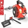 BB-LOISIRCD Hecht Jardin 9254 Souffleur De Feuilles A Essence 3en1 Aspirateur Souffleur Broyeur BB LOISIR 2 BB-LOISIRCD Hecht Jardin 9254 Souffleur De Feuilles A Essence 3en1 Aspirateur Souffleur Broyeur BB LOISIR -Aspirateur souffleur Soldes Magasin 11569264 1