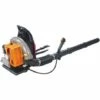 GT GARDEN Souffleur à Dos Thermique, 65 Cm3 -Aspirateur souffleur Soldes Magasin 1165514 1