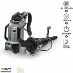 Souffleur Professionnel à Batterie Dorsale Ego Power+ LB6000E - Gris