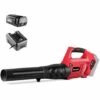 Souffleur De Feuilles De Jardin Sans Fil 56V, Batterie 2.0Ah BT562L Et Chargeur CBT560L Inclus, Vitesse Max. 170km/h, 2.6kg - Greencut PACK EB560L -Aspirateur souffleur Soldes Magasin 12229461 1