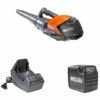 OLEOMAC Pack Souffleur à Batterie Oleo Mac BVi60 40V - 2.5Ah -Aspirateur souffleur Soldes Magasin 13895787 1