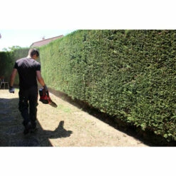 ENERGIZER Souffleur Sans Fil 40 V 216 Km/h EZ40VSEN -Aspirateur souffleur Soldes Magasin 14064526 4