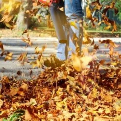 WILTEC Aspirateur Souffleur De Feuilles Mortes & Broyeur Essence 1CV 26ccm 3-en-1 Sac Collecteur 50L -Aspirateur souffleur Soldes Magasin 14833575 3