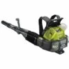 Souffleur à Dos RYOBI 36V Brushless - Sans Batterie Ni Chargeur RY36BPXA-0 2 Souffleur à Dos RYOBI 36V Brushless - Sans Batterie Ni Chargeur RY36BPXA-0 -Aspirateur souffleur Soldes Magasin 17777664 1
