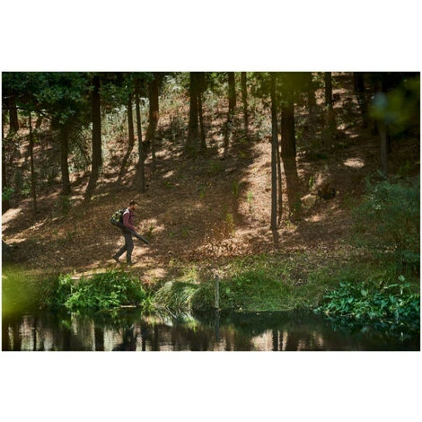 Souffleur à Dos RYOBI 36V Brushless - Sans Batterie Ni Chargeur RY36BPXA-0 6 Souffleur à Dos RYOBI 36V Brushless - Sans Batterie Ni Chargeur RY36BPXA-0 – Image 4