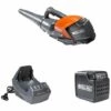 Pack Souffleur à Batterie Oleo Mac BVi60 40V - 5Ah -Aspirateur souffleur Soldes Magasin 18215605 1