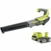 Pack RYOBI Souffleur 18V OnePlus OBL18JB - 1 Batterie 2.5Ah - 1 Chargeur Rapide RC18120-125 1 Pack RYOBI Souffleur 18V OnePlus OBL18JB - 1 Batterie 2.5Ah - 1 Chargeur Rapide RC18120-125 -Aspirateur souffleur Soldes Magasin 18243599 1