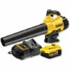 DeWALT DCM562P1 Souffleur Sans Fil Brushless 18V - 5Ah Avec 1 X Batterie 1 DeWALT DCM562P1 Souffleur Sans Fil Brushless 18V - 5Ah Avec 1 X Batterie -Aspirateur souffleur Soldes Magasin 26361494 1