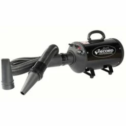 RECORD Windy V. 230 - 2200 W Phon-blower.