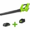 Souffleur Axial Sans Fil Greenworks 24v Avec Batterie Et Chargeur -Aspirateur souffleur Soldes Magasin 26624750 1