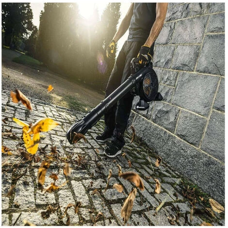 Aspirateur Souffleur Broyeur Thermique MCCULLOCH - 900 W - 25 Cm - GBV322 VX 6 Aspirateur Souffleur Broyeur Thermique MCCULLOCH - 900 W - 25 Cm - GBV322 VX – Image 4