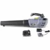 VOLTR Souffleur De Feuilles 20V 4 Vitesses à Batterie 20V. 4.0Ah -Aspirateur souffleur Soldes Magasin 33239271 1