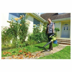 Souffleur Aspiro-broyeur électrique RYOBI 3000W 2en1 RBV3000CSV -Aspirateur souffleur Soldes Magasin 3369727 5