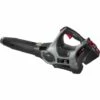 VOLTKORE Souffleur De Feuilles Avec Batterie Et Chargeur - Batterie 2.0mAhmAh - 40Volt - 216km/h -Aspirateur souffleur Soldes Magasin 38420025 1