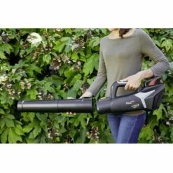 ALPINA Outdoor ABL 20 Li Sans Fil 271504104/A21 ABL 20 Li Aspirateur 230 V -Aspirateur souffleur Soldes Magasin 44779773 4