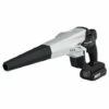 PANASONIC Souffleur De La Batterie 14,4V / 18V, Sans Piles Et Chargeur, En Carton -Aspirateur souffleur Soldes Magasin 57886133 1