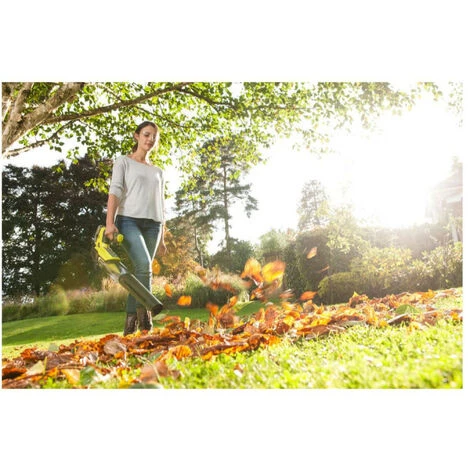 Pack RYOBI Souffleur 18V OnePlus Turbo Jet RBL18JB40F - 1 Batterie 3.0Ah High Energy - 1 Batterie 4.0 Ah - Chargeur Rapide 6 Pack RYOBI Souffleur 18V OnePlus Turbo Jet RBL18JB40F - 1 Batterie 3.0Ah High Energy - 1 Batterie 4.0 Ah - Chargeur Rapide – Image 4