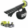 Pack RYOBI Souffleur Aspiro-broyeur 18V LithiumPlus OnePlus Brushless OBV18 - 1 Batterie 3.0Ah High Energy - 1 Batterie 5.0Ah - Chargeur Rapide -Aspirateur souffleur Soldes Magasin 59958792 1