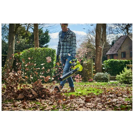 Souffleur RYOBI 36V Max Power - 1 Batterie LithiumPlus 36V 4.0Ah - 1 Chargeur Rapide 6.0Ah - RY36BLA-140 7 Souffleur RYOBI 36V Max Power - 1 Batterie LithiumPlus 36V 4.0Ah - 1 Chargeur Rapide 6.0Ah - RY36BLA-140 – Image 5