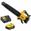 Souffleur XR 18V 5Ah Li-Ion - 1 Batterie DEWALT - DCMBL562P1-QW 1 Souffleur XR 18V 5Ah Li-Ion - 1 Batterie DEWALT - DCMBL562P1-QW -Aspirateur souffleur Soldes Magasin 68557686 1