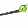 Greenworks Souffleur De Feuilles Sans Batterie 24 V G24AB 2402207 - Multicolore -Aspirateur souffleur Soldes Magasin 8482619 1