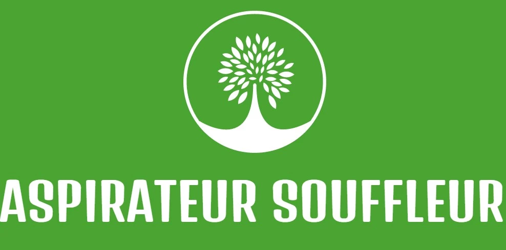 Aspirateur souffleur Soldes Magasin